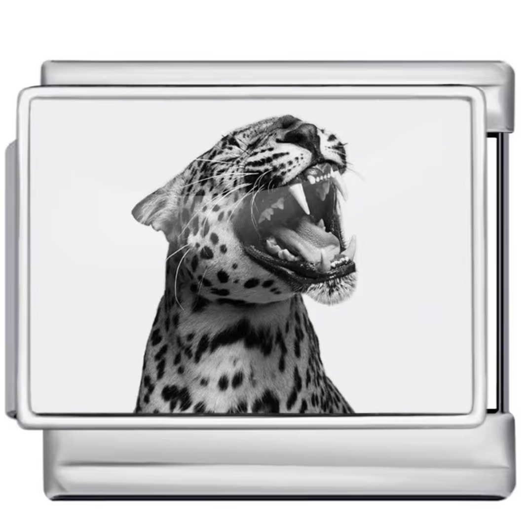 Charm Jaguar